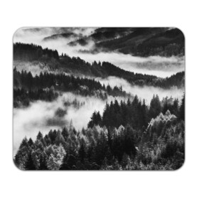 Коврик для мышки прямоугольный с принтом ТУМАННЫЙ ЛЕС  МРАЧНЫЙ ЛЕС в Тюмени, натуральный каучук | размер 230 х 185 мм; запечатка лицевой стороны | tegunvteg | деревья | ели | лес | мрачный | природа | туман | туманный