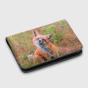 Картхолдер с принтом с принтом Лисичка в Тюмени, натуральная матовая кожа | размер 7,3 х 10 см; кардхолдер имеет 4 кармана для карт; | fox | foxy | животное | звери | лиса | лисенок | лисичка | милая | рыжая | фокс