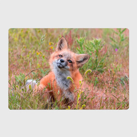 Магнитный плакат 3Х2 с принтом Лисичка в Тюмени, Полимерный материал с магнитным слоем | 6 деталей размером 9*9 см | fox | foxy | животное | звери | лиса | лисенок | лисичка | милая | рыжая | фокс