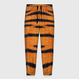 Мужские брюки 3D с принтом Тигровый Раскрас в Тюмени, 100% полиэстер | манжеты по низу, эластичный пояс регулируется шнурком, по бокам два кармана без застежек, внутренняя часть кармана из мелкой сетки | animal | skin | tiger | раскрас | тигровый