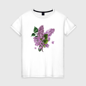 Женская футболка хлопок с принтом СИРЕНЬ АКВАРЕЛЬЮ в Тюмени, 100% хлопок | прямой крой, круглый вырез горловины, длина до линии бедер, слегка спущенное плечо | акварель | акварельные | акварелью | бабочки | букет | букет из цветов | летние цветы | сиреневые цветы | сирень | цветы
