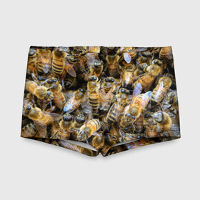 Детские купальные плавки 3D с принтом Пчёлы в Тюмени, Полиэстер 85%, Спандекс 15% | Слитный крой, подклад по переду изделия, узкие бретели | Тематика изображения на принте: живность | животное | животные | насекомое | насекомые | пчела | пчёлка | пчёлки | пчёлы