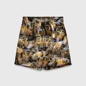 Детские спортивные шорты 3D с принтом Пчёлы в Тюмени,  100% полиэстер
 | пояс оформлен широкой мягкой резинкой, ткань тянется
 | Тематика изображения на принте: живность | животное | животные | насекомое | насекомые | пчела | пчёлка | пчёлки | пчёлы