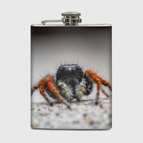 Фляга с принтом Паук в Тюмени, металлический корпус | емкость 0,22 л, размер 125 х 94 мм. Виниловая наклейка запечатывается полностью | живность | животное | животные | насекомое | насекомые | паук | пауки | паучки | паучок