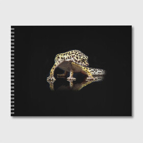 Альбом для рисования с принтом ЭУБЛЕФАР  EUBLEPHARIS в Тюмени, 100% бумага
 | матовая бумага, плотность 200 мг. | tegunvteg | геккон | гекон | зублефар | леопардовый геккон | эу | эублефар | ящерица