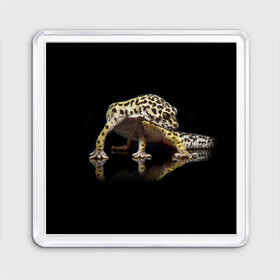 Магнит 55*55 с принтом ЭУБЛЕФАР  EUBLEPHARIS в Тюмени, Пластик | Размер: 65*65 мм; Размер печати: 55*55 мм | tegunvteg | геккон | гекон | зублефар | леопардовый геккон | эу | эублефар | ящерица