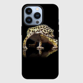 Чехол для iPhone 13 Pro с принтом ЭУБЛЕФАР  EUBLEPHARIS в Тюмени,  |  | tegunvteg | геккон | гекон | зублефар | леопардовый геккон | эу | эублефар | ящерица