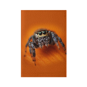 Обложка для паспорта матовая кожа с принтом ПАУК  SPIDER в Тюмени, натуральная матовая кожа | размер 19,3 х 13,7 см; прозрачные пластиковые крепления | tegunvteg | глаза | животные | макро | насекомые | паук | природа