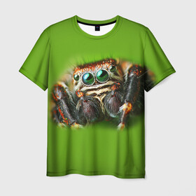 Мужская футболка 3D с принтом ПАУК ВБЛИЗИ в Тюмени, 100% полиэфир | прямой крой, круглый вырез горловины, длина до линии бедер | tegunvteg | глаза | животные | макро | насекомые | паук | природа