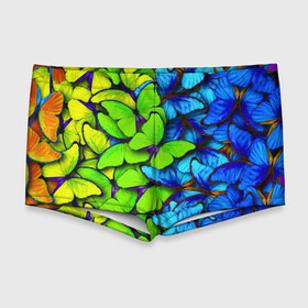 Мужские купальные плавки 3D с принтом БАБОЧКИ УЗОР BUTTERFLIES в Тюмени, Полиэстер 85%, Спандекс 15% |  | butterflies | texture | бабочки | весна | животные | лето | природа. | текстура | узор