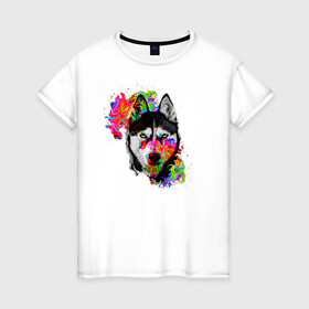 Женская футболка хлопок с принтом собака с торчащими ушами в Тюмени, 100% хлопок | прямой крой, круглый вырез горловины, длина до линии бедер, слегка спущенное плечо | белый | добрый | красивый | краски | собака | хаски | цвет | цветной | черный