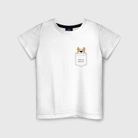 Детская футболка хлопок с принтом Корги в кармане_01 в Тюмени, 100% хлопок | круглый вырез горловины, полуприлегающий силуэт, длина до линии бедер | corgi | dog | вельш корги | карман | корги | коржик | собака