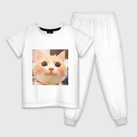 Детская пижама хлопок с принтом Мем про котов в Тюмени, 100% хлопок |  брюки и футболка прямого кроя, без карманов, на брюках мягкая резинка на поясе и по низу штанин
 | белый | кот | мем | милый | прикол