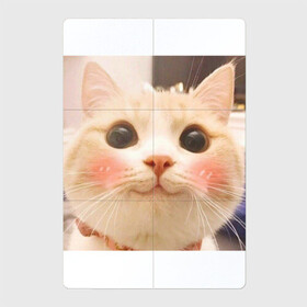 Магнитный плакат 2Х3 с принтом Мем про котов в Тюмени, Полимерный материал с магнитным слоем | 6 деталей размером 9*9 см | Тематика изображения на принте: белый | кот | мем | милый | прикол