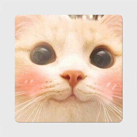 Магнит виниловый Квадрат с принтом Мем про котов в Тюмени, полимерный материал с магнитным слоем | размер 9*9 см, закругленные углы | Тематика изображения на принте: белый | кот | мем | милый | прикол