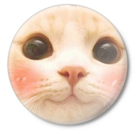 Значок с принтом Мем про котов в Тюмени,  металл | круглая форма, металлическая застежка в виде булавки | Тематика изображения на принте: белый | кот | мем | милый | прикол