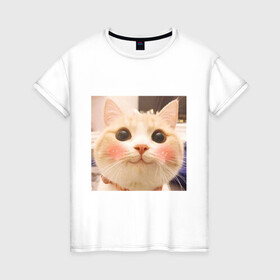 Женская футболка хлопок с принтом Мем про котов в Тюмени, 100% хлопок | прямой крой, круглый вырез горловины, длина до линии бедер, слегка спущенное плечо | белый | кот | мем | милый | прикол