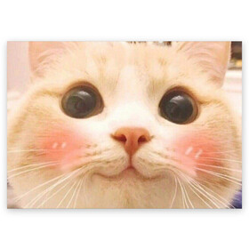 Поздравительная открытка с принтом Мем про котов в Тюмени, 100% бумага | плотность бумаги 280 г/м2, матовая, на обратной стороне линовка и место для марки
 | Тематика изображения на принте: белый | кот | мем | милый | прикол