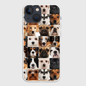 Чехол для iPhone 13 mini с принтом Я ЛЮБЛЮ СОБАК   I LOVE DOGS в Тюмени,  |  | collage dogs | dogs | i love dogs | домашние животные | друзья наши младшие | коллаж | собаки | собачки. | я люблю собак