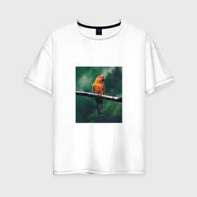 Женская футболка хлопок Oversize с принтом Попугай сидит на ветке в Тюмени, 100% хлопок | свободный крой, круглый ворот, спущенный рукав, длина до линии бедер
 | животные | звери | иллюстрации | попугай | популярные | прикольные | птица | сидит