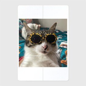 Магнитный плакат 2Х3 с принтом Мем про кота в Тюмени, Полимерный материал с магнитным слоем | 6 деталей размером 9*9 см | Тематика изображения на принте: в очках | киса селфи | кот | мем | милый | прикол