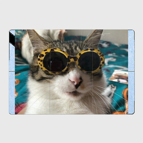 Магнитный плакат 3Х2 с принтом Мем про кота в Тюмени, Полимерный материал с магнитным слоем | 6 деталей размером 9*9 см | Тематика изображения на принте: в очках | киса селфи | кот | мем | милый | прикол