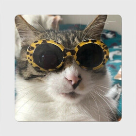Магнит виниловый Квадрат с принтом Мем про кота в Тюмени, полимерный материал с магнитным слоем | размер 9*9 см, закругленные углы | Тематика изображения на принте: в очках | киса селфи | кот | мем | милый | прикол