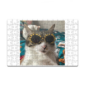 Головоломка Пазл магнитный 126 элементов с принтом Мем про кота в Тюмени, полимерный материал с магнитным слоем | 126 деталей, размер изделия —  180*270 мм | Тематика изображения на принте: в очках | киса селфи | кот | мем | милый | прикол