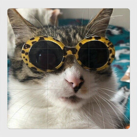 Магнитный плакат 3Х3 с принтом Мем про кота в Тюмени, Полимерный материал с магнитным слоем | 9 деталей размером 9*9 см | в очках | киса селфи | кот | мем | милый | прикол