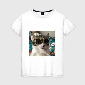 Женская футболка хлопок с принтом Мем про кота в Тюмени, 100% хлопок | прямой крой, круглый вырез горловины, длина до линии бедер, слегка спущенное плечо | в очках | киса селфи | кот | мем | милый | прикол