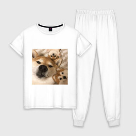 Женская пижама хлопок с принтом Мем про собак в Тюмени, 100% хлопок | брюки и футболка прямого кроя, без карманов, на брюках мягкая резинка на поясе и по низу штанин | Тематика изображения на принте: белый | игрушки мягкие | мем | милый | прикол | сиба ину | собака