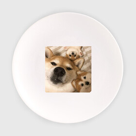 Тарелка с принтом Мем про собак в Тюмени, фарфор | диаметр - 210 мм
диаметр для нанесения принта - 120 мм | белый | игрушки мягкие | мем | милый | прикол | сиба ину | собака