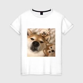 Женская футболка хлопок с принтом Мем про собак в Тюмени, 100% хлопок | прямой крой, круглый вырез горловины, длина до линии бедер, слегка спущенное плечо | белый | игрушки мягкие | мем | милый | прикол | сиба ину | собака