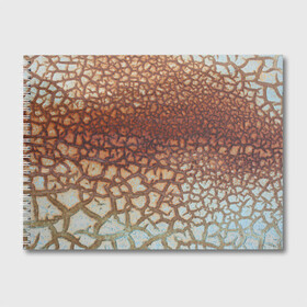 Альбом для рисования с принтом Пустынные Трещины в Тюмени, 100% бумага
 | матовая бумага, плотность 200 мг. | Тематика изображения на принте: линии | лучшее | полосы | природа | пустыня | топ | тренды | трещины