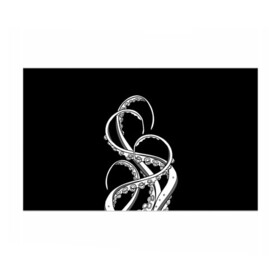 Бумага для упаковки 3D с принтом Octopus Black and White в Тюмени, пластик и полированная сталь | круглая форма, металлическое крепление в виде кольца | Тематика изображения на принте: fish | kraken | ocean spirit | octopus | sea | summer | вода | водный мир | животные | зверь | кальмар | кракен | лето | монстр | море | морская живность | морские обитатели | осьминог | отпуск | рыба | черно белый | чуд