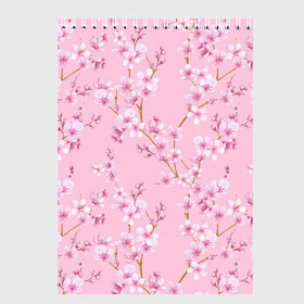 Скетчбук с принтом Цветущая розовая вишня в Тюмени, 100% бумага
 | 48 листов, плотность листов — 100 г/м2, плотность картонной обложки — 250 г/м2. Листы скреплены сверху удобной пружинной спиралью | Тематика изображения на принте: cherry blossom | sakura | азия | весна | ветки | вишня | для девушки | женский | милый | нежный | природа | розовый | сакура | цветение | цветочный принт | цветущая вишня | цветущие ветки | цветущий миндаль