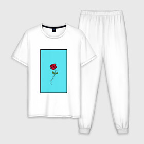 Мужская пижама хлопок с принтом Одинокая роза в Тюмени, 100% хлопок | брюки и футболка прямого кроя, без карманов, на брюках мягкая резинка на поясе и по низу штанин
 | rose | колючая проволока | колючки | роза | шипы