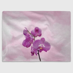 Плед 3D с принтом Нежная орхидея в Тюмени, 100% полиэстер | закругленные углы, все края обработаны. Ткань не мнется и не растягивается | blossom | nature | orchid | женственность | красивые цветы | орхидеи | орхидея | фаленопсис