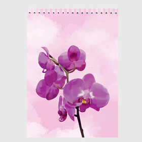 Скетчбук с принтом Нежная орхидея в Тюмени, 100% бумага
 | 48 листов, плотность листов — 100 г/м2, плотность картонной обложки — 250 г/м2. Листы скреплены сверху удобной пружинной спиралью | Тематика изображения на принте: blossom | nature | orchid | женственность | красивые цветы | орхидеи | орхидея | фаленопсис