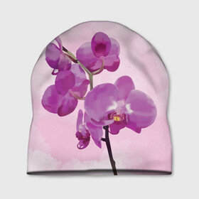 Шапка 3D с принтом Нежная орхидея в Тюмени, 100% полиэстер | универсальный размер, печать по всей поверхности изделия | blossom | nature | orchid | женственность | красивые цветы | орхидеи | орхидея | фаленопсис