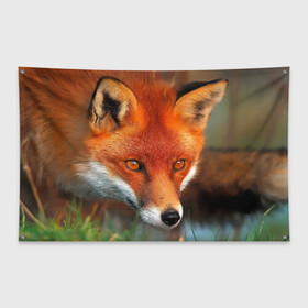Флаг-баннер с принтом Лисица охотница в Тюмени, 100% полиэстер | размер 67 х 109 см, плотность ткани — 95 г/м2; по краям флага есть четыре люверса для крепления | fox | foxy | животное | звери | лиса | лисенок | лисичка | милая | рыжая | фокс