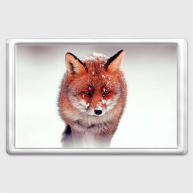 Магнит 45*70 с принтом Лисица и снег в Тюмени, Пластик | Размер: 78*52 мм; Размер печати: 70*45 | fox | foxy | животное | звери | лиса | лисенок | лисичка | милая | рыжая | фокс