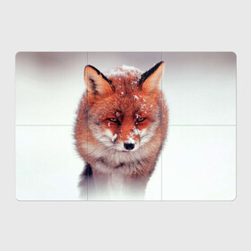 Магнитный плакат 3Х2 с принтом Лисица и снег в Тюмени, Полимерный материал с магнитным слоем | 6 деталей размером 9*9 см | fox | foxy | животное | звери | лиса | лисенок | лисичка | милая | рыжая | фокс