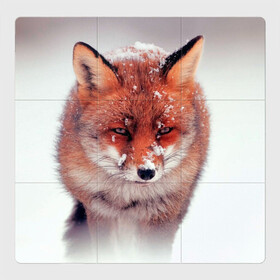 Магнитный плакат 3Х3 с принтом Лисица и снег в Тюмени, Полимерный материал с магнитным слоем | 9 деталей размером 9*9 см | fox | foxy | животное | звери | лиса | лисенок | лисичка | милая | рыжая | фокс