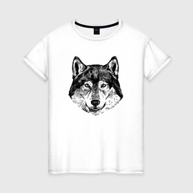 Женская футболка хлопок с принтом Голова волка в Тюмени, 100% хлопок | прямой крой, круглый вырез горловины, длина до линии бедер, слегка спущенное плечо | lone | predator | wolf | волк | волки | голова | животное | хищник