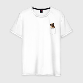 Мужская футболка хлопок с принтом PocketPuppy#3 в Тюмени, 100% хлопок | прямой крой, круглый вырез горловины, длина до линии бедер, слегка спущенное плечо. | Тематика изображения на принте: cute | dog | puppy | карман | милый | мопс | собака | щенок