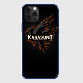 Чехол для iPhone 12 Pro Max с принтом Старшая школа Карасуно в Тюмени, Силикон |  | anime | haikyu | haikyuu | karasuno | karasuno high | manga | аниме | волейбол | волейбольный клуб | ворон | вороны | карасуно | крылья | лого | логотип | манга | надпись | птица | старшая школа | хаику | хаикую