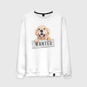 Мужской свитшот хлопок с принтом Dog Wanted в Тюмени, 100% хлопок |  | cute | dog | wanted | woof | гав | забавный | пес | песель | песик | смешной | собака | собачка | щенок