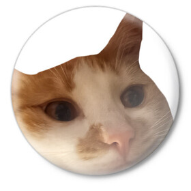 Значок с принтом The shusha What? в Тюмени,  металл | круглая форма, металлическая застежка в виде булавки | cat | shusha | what | кошка | что