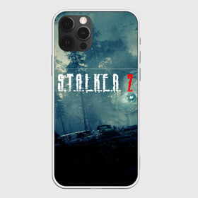 Чехол для iPhone 12 Pro Max с принтом S.T,A.L.K.E.R. 2 в Тюмени, Силикон |  | stalker | аномалия | зовприпяти | зона | игра | клык | лес | меченный | монолит. долг | призрак | свобода | сталкер | стрелок | чистоенебо | шрам | шутер